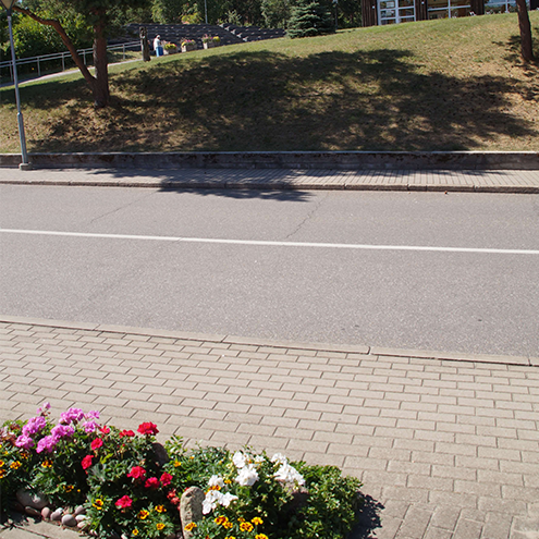 Svetainė – miegamasis (12 kv. m – 3 mieg. vietos).